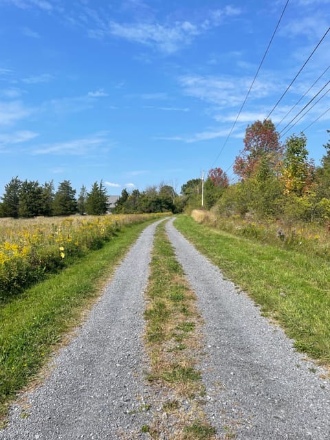 Long gravel driveway provides privacy, yet only a mile from shopping/dining.