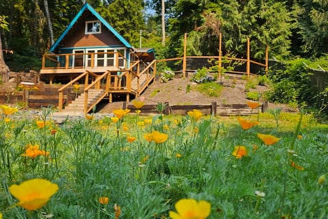 Hillside Hideaway + Firepit + Hot tub