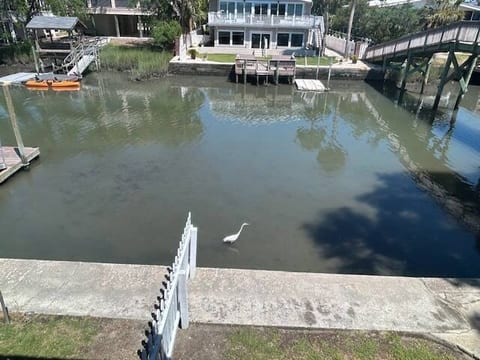 Creek view from primary bedroom