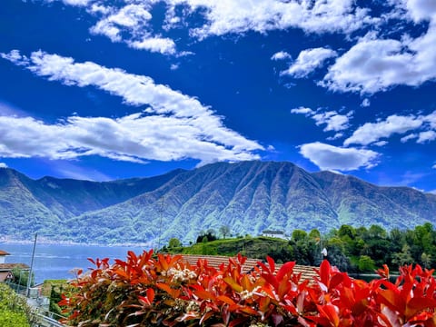 Comacina Villa, Lake Como