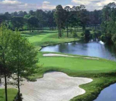 Carolina Club is situated on beautiful Shipyard Golf Course