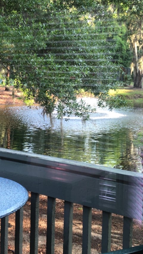 View from private deck