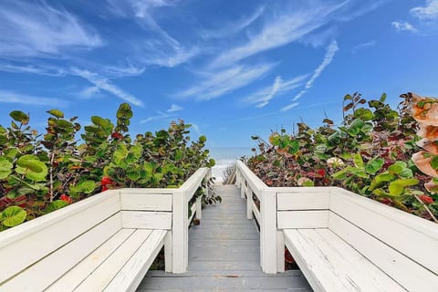 Oceanfront Beach House on island