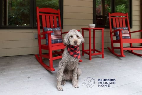 We welcome your dog family member at Bluebird Mountain Home