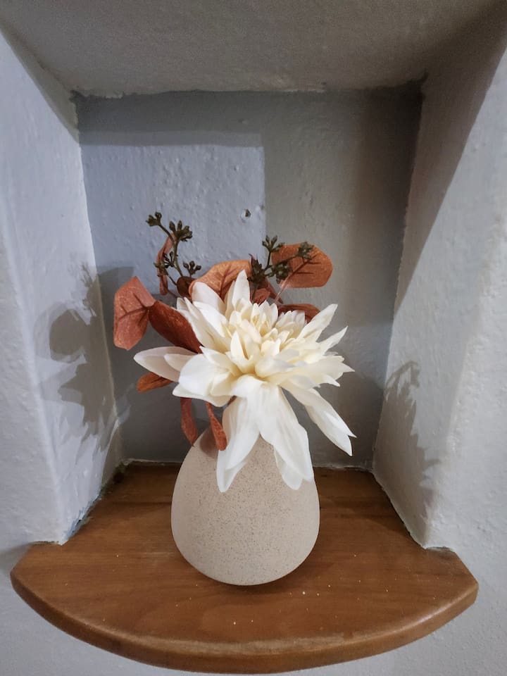 walk-to-jack-trice-stadium-and-isu!-fire-pit+yard/