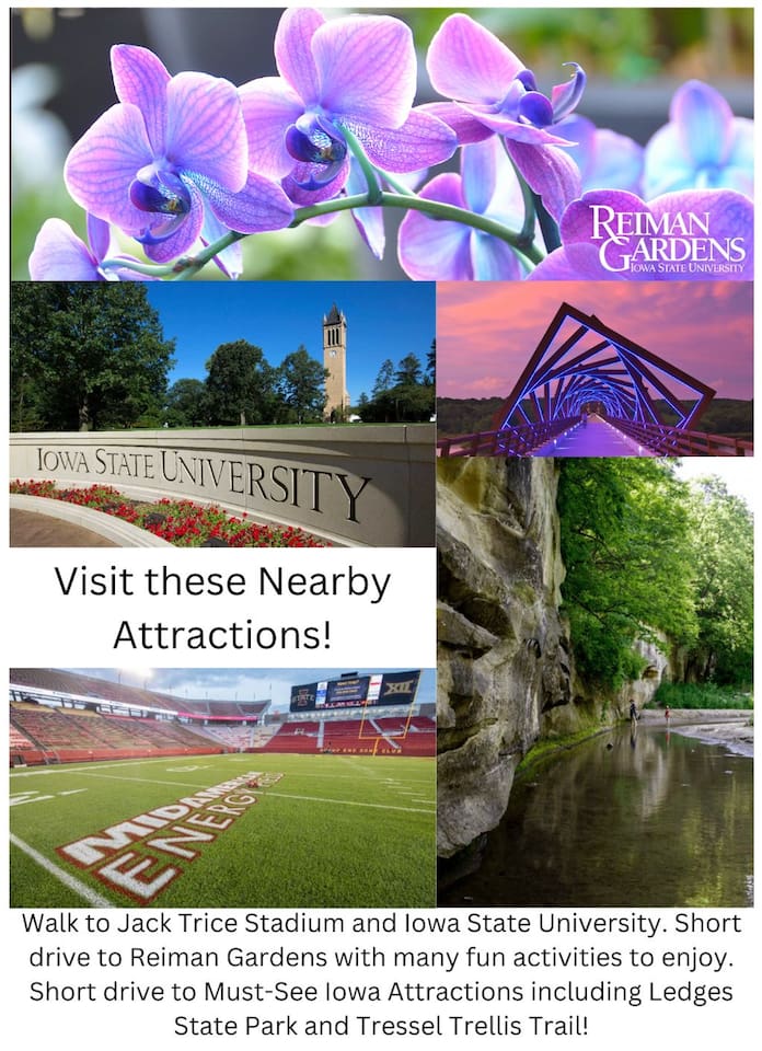 walk-to-jack-trice-stadium-and-isu!-fire-pit+yard/