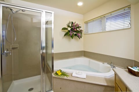 Shearwater Ocean View 2 BR Condo, Kauai