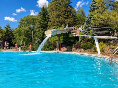 Hot Tub+Fire Pit | Game Room Lake Naomi Golden Owl
