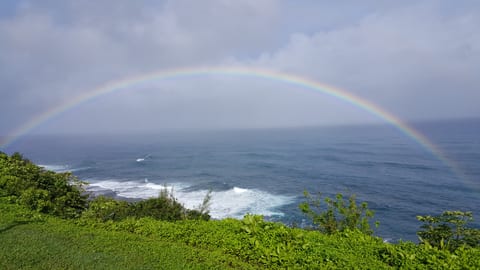 Direct Ocean View 2 BR The Cliffs, Kauai