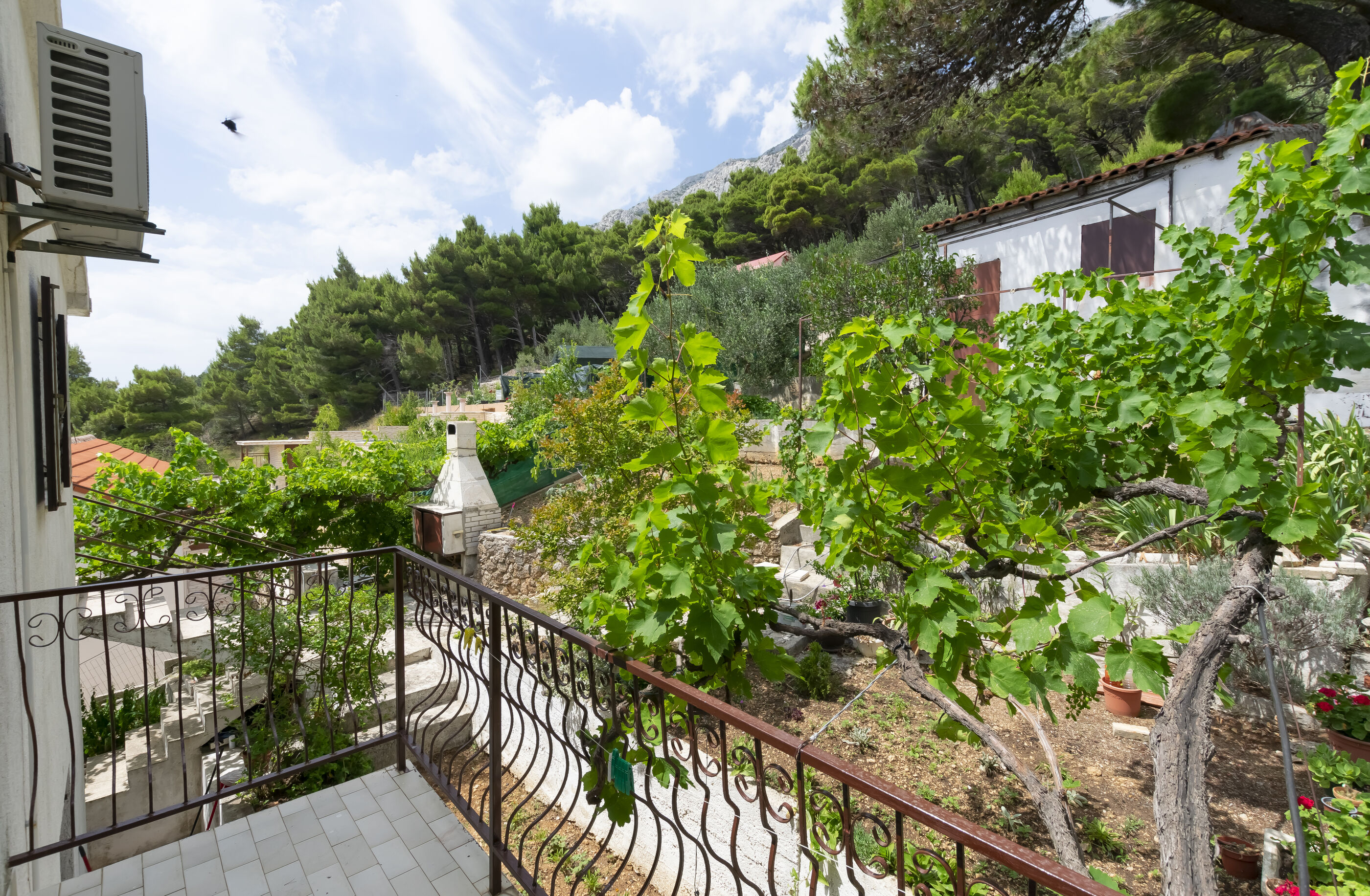 Apartments Andi - Unit 375848-13