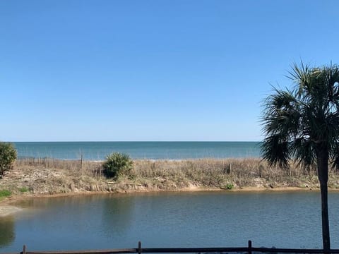 Direct Oceanfront First Floor End Unit