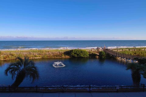 Direct Oceanfront Trainqility