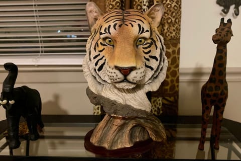 Book and experience TheSafari @ Abbey Acres.