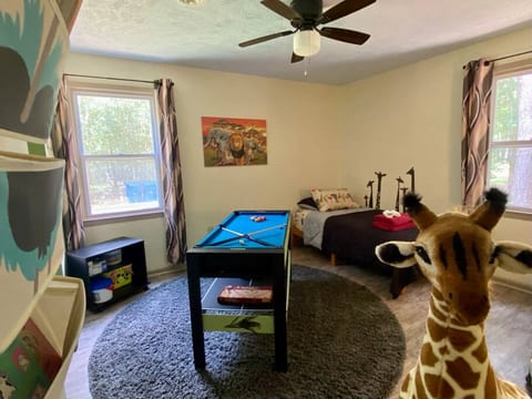 A mini pool table, board games, and books.