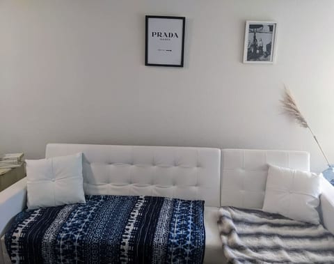 Comfy sofa + chaise + sofa bed for two guests