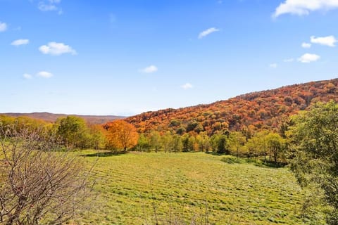Long range views with fall colors