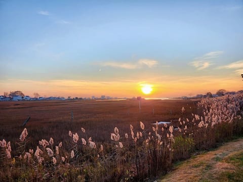 Experience breathtaking sunsets just steps away! Take a leisurely stroll and witness nature's stunning masterpiece as the sky ignites with vibrant hues.