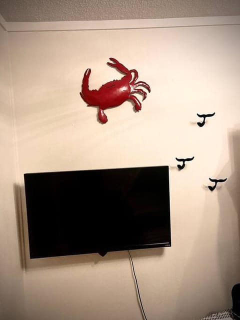 TV in bunk room