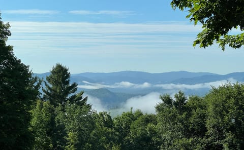 BearyHill Ridge