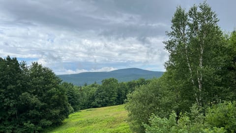 BearyHill Ridge