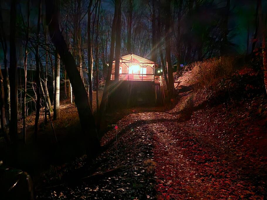 Cozy Cabin: Hot Tub, Fast 500Mbps Wi-Fi, Fireplace - Mars Hill Cozy Cabin: Hot Tub, Fast 500Mbps Wi-Fi, Fireplace - Mars Hill