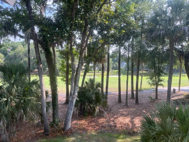 View outside on porch.