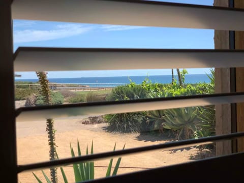 Your view