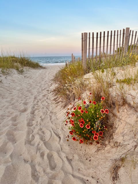 Easy Beach Access