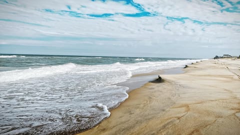 Scenic Ocean View