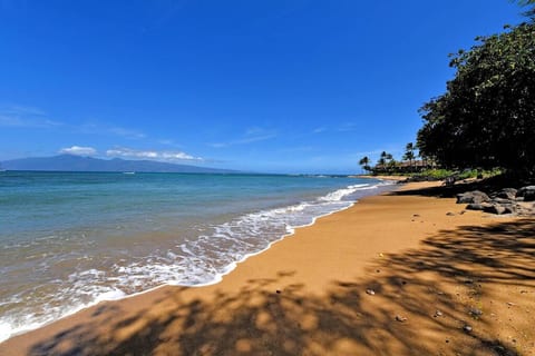 Luxury Oceanfront Turtles Sunsets - Maui, Hawaii