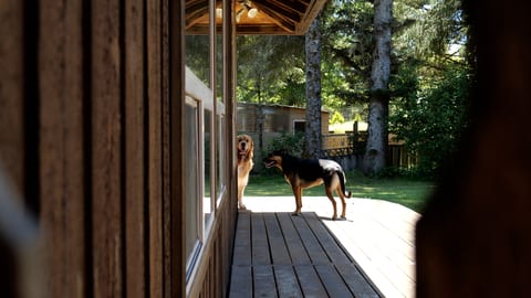 Yard freedom!