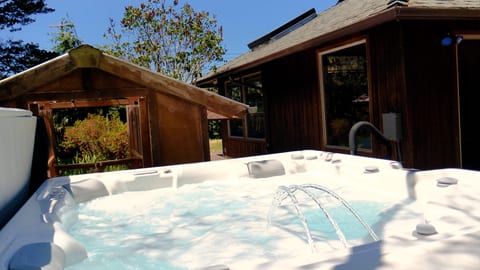State of the art saltwater tub
