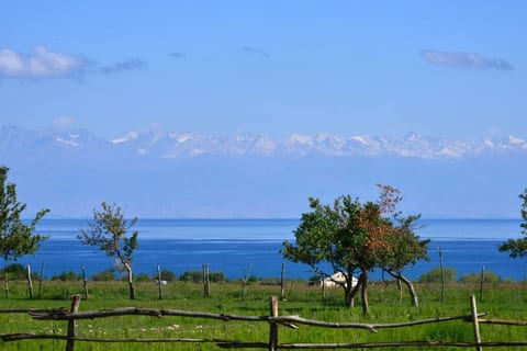 Holiday in Yurt Camp all year long ALMALUU