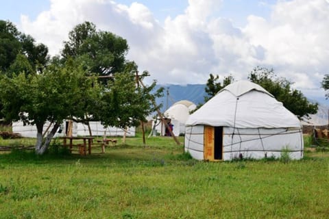 Holiday in Yurt Camp all year long ALMALUU