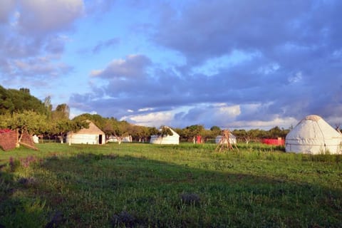 Holiday in Yurt Camp all year long ALMALUU