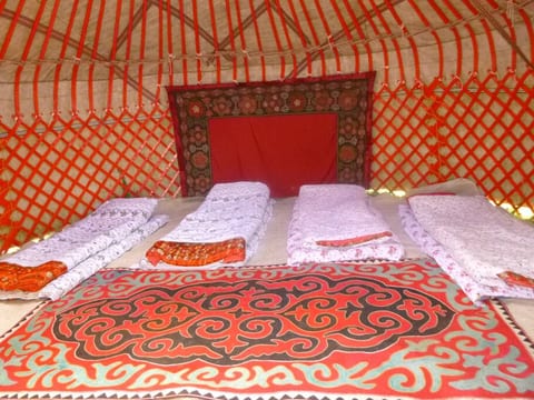 Holiday in Yurt Camp all year long ALMALUU