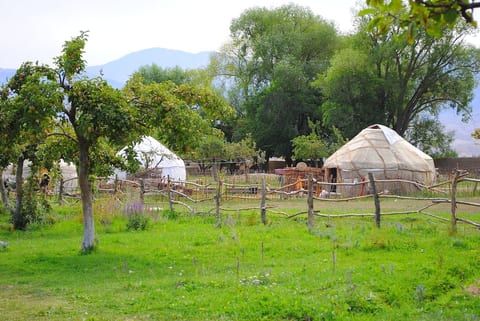 Holiday in Yurt Camp all year long ALMALUU