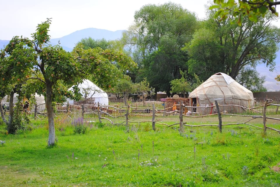 Vacaciones en el Campamento de Yurt todo el año ALMALUU - Tong