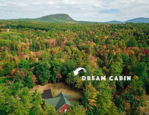 White Mountain Dream Cabin | 4 Acres  + Hot Tub