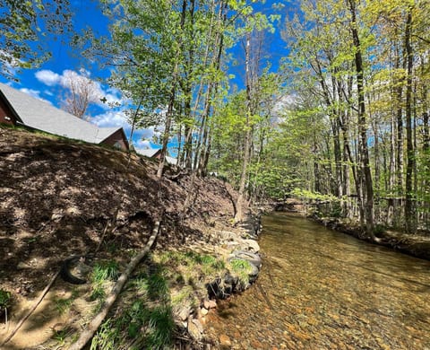 Luxe Mountain Home River, Cranmore and Downtown