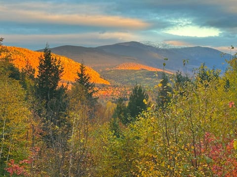 Iron Mountain House | Breathtaking Views | Hot tub