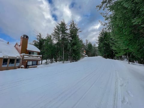 Ski-in/Ski-out Slopeside Attitash Family Home ⛷