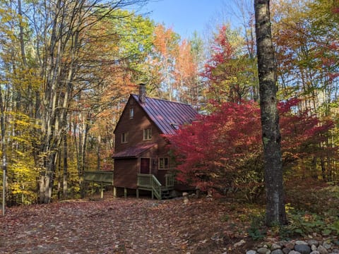 Cozy Mt. Home Tucked Away yet Close to Everything!