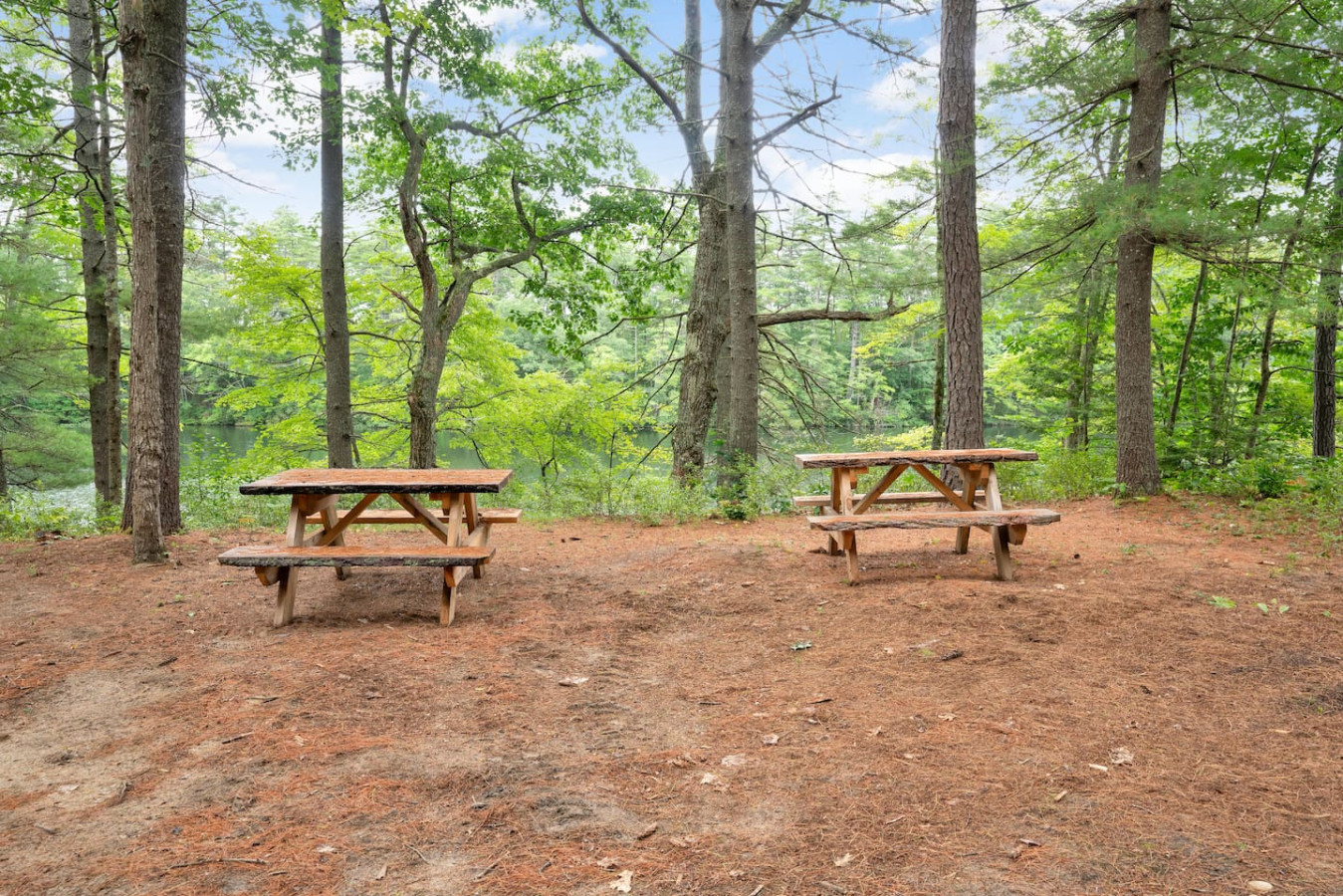 Pond+Pine: Luxury A-Frame Retreat