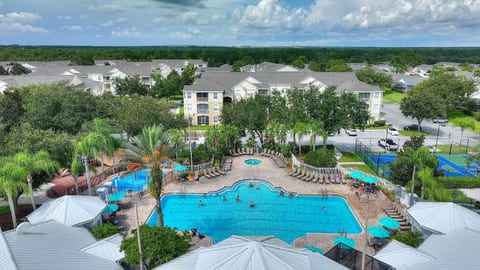 Olympic sized pool