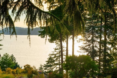 Caboose · Lovely ocean & mountain views cottage