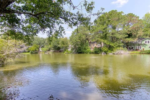 Lake view