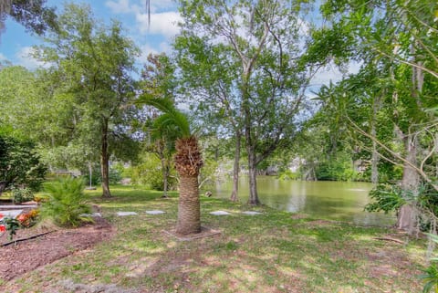 Lake view