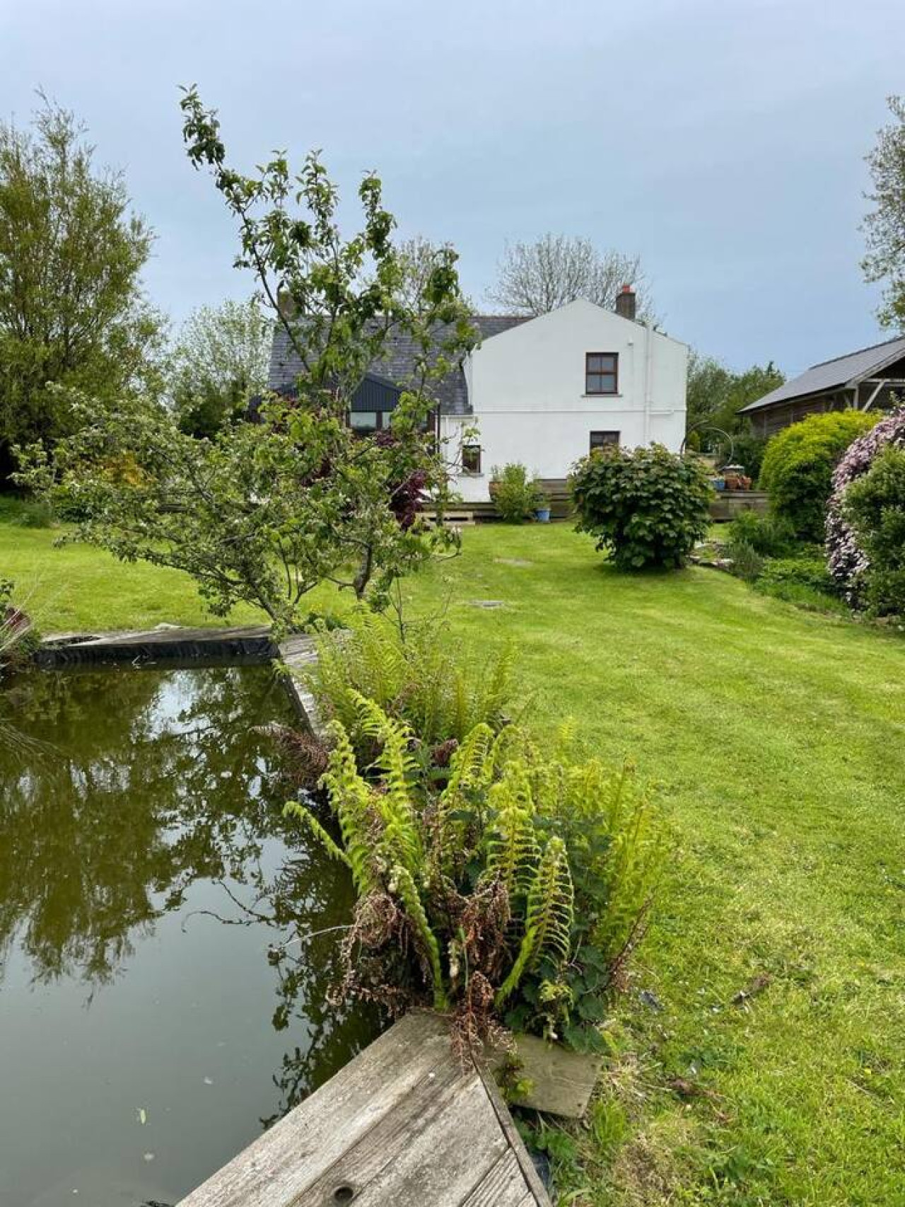 Cosy Cottage in Wild Countryside by Llys-y-Fran - Clynderwen