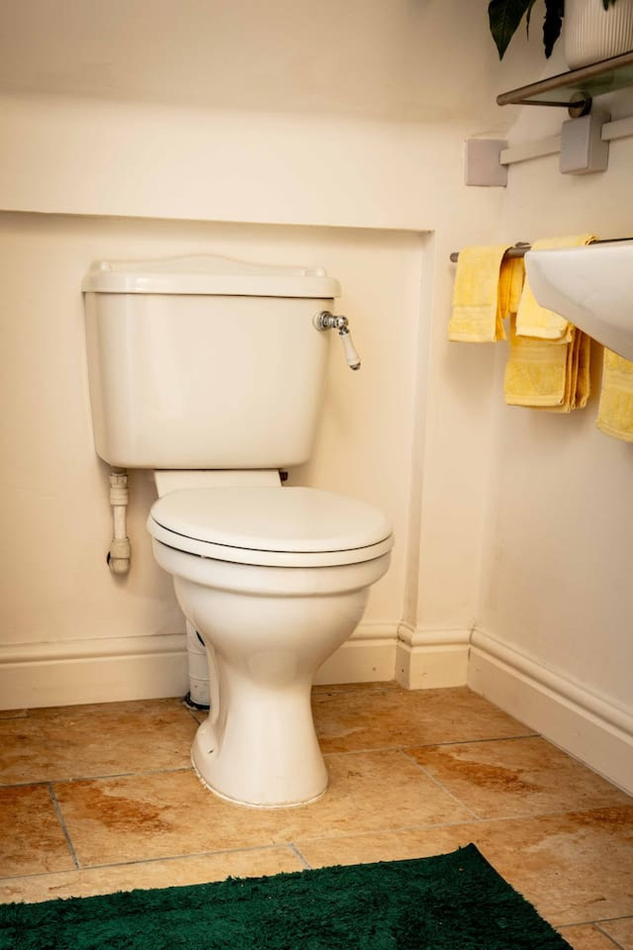 the-cwtch-at-lackerlee/